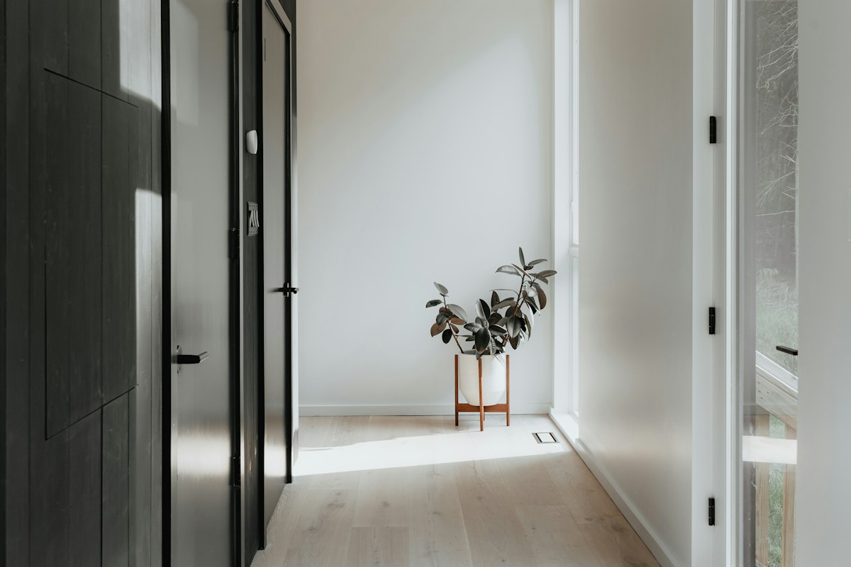 A pale hallway with doors and a small potted plant